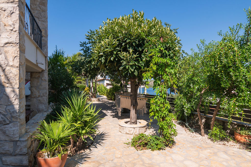Garden 6